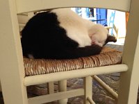 2017-04-06 12-51-31 57d13a8b  very comfy!